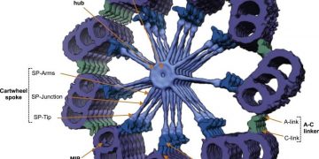 # Thách thức 30 ngày – Ngày 19