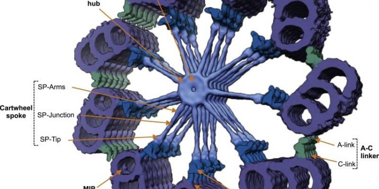 # Thách thức 30 ngày – Ngày 19