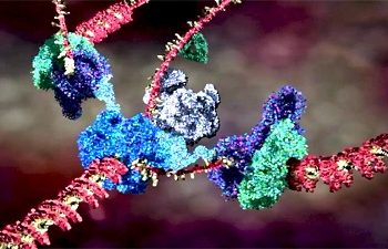 Cơ thể bạn là một nhà máy tế bào khổng lồ.