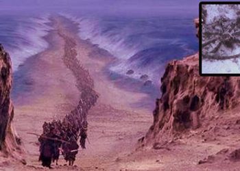 Những khí cụ của quân đội Ai-cập dưới đáy Biển Đỏ