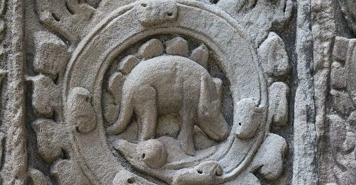 Bạn vẫn còn tin vào Thuyết tiến hoá ư?