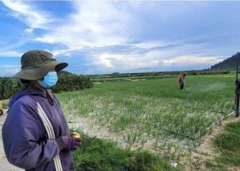 Báo chí đưa tin theo mô típ xỉa xói cứ như nông dân bán đất là có lỗi.