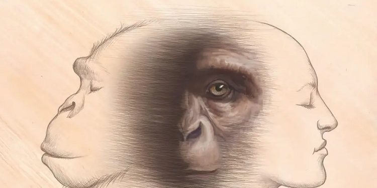 Nguồn gốc loài người