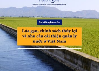 “Chính Phủ đặt vấn đề sản xuất lúa gạo là ưu tiên quốc gia.”