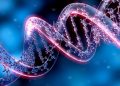Ngành Khoa học Di truyền (Genetics) như bánh xe khổng lồ đang lừng lững nghiền nát thuyết tiến hóa.