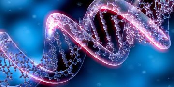 Ngành Khoa học Di truyền (Genetics) như bánh xe khổng lồ đang lừng lững nghiền nát thuyết tiến hóa.